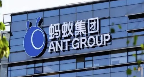 螞蟻集團旗下數字螞力科技增資至1億，軟件外包服務能力再獲提升